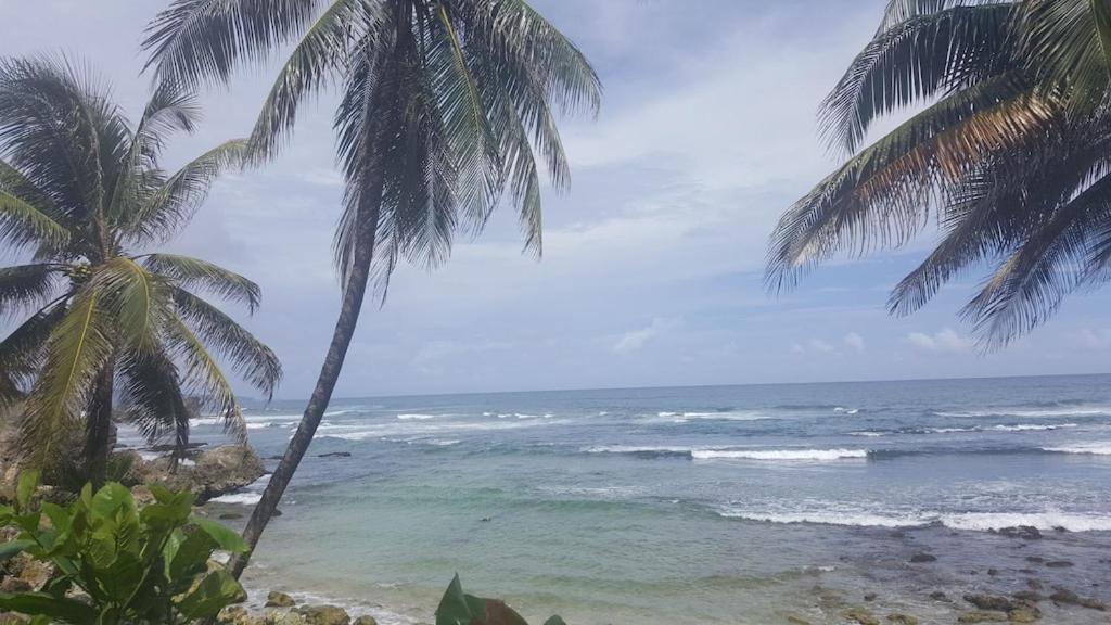 Donamae 2 Story Barbados House Villa Bridgetown Eksteriør bilde