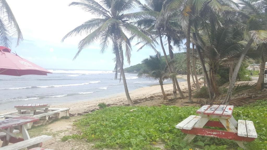 Donamae 2 Story Barbados House Villa Bridgetown Eksteriør bilde